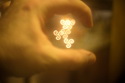 CAPZ8133_bokeh_resize